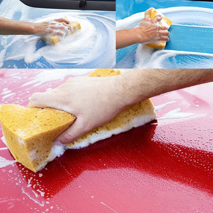 Гъба за миене PA1224